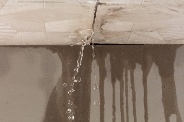 Professional Water Damage Inspection technician working in Shirley Mills, ME